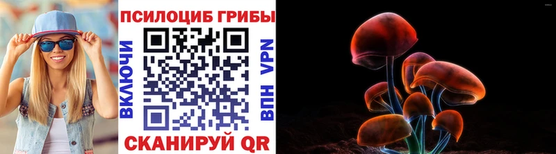 Галлюциногенные грибы Psilocybe  KRAKEN tor  Моздок 